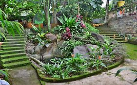 Silent Waters Resorts
