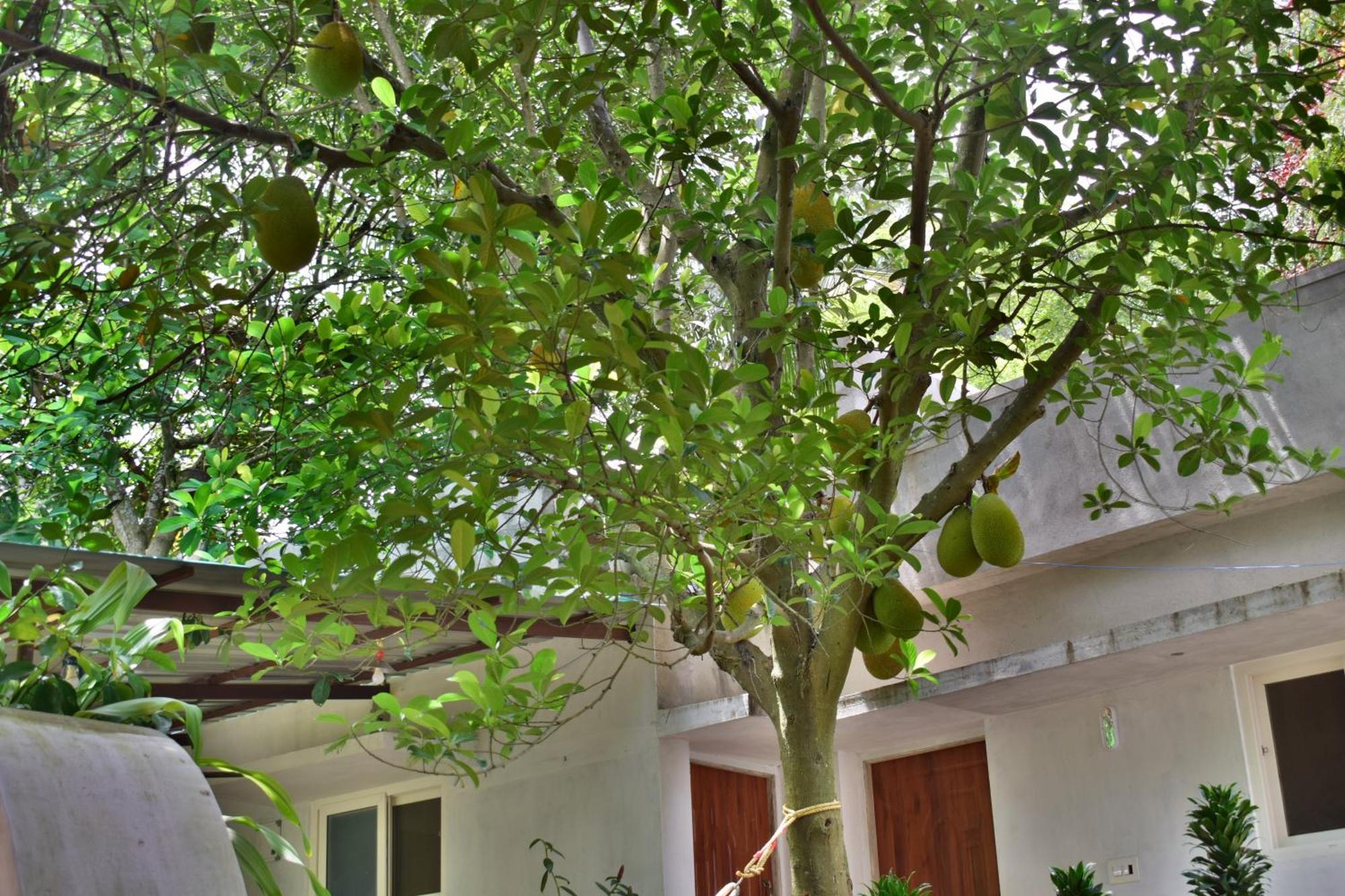 Silent Waters Resorts Yelagiri Exterior photo