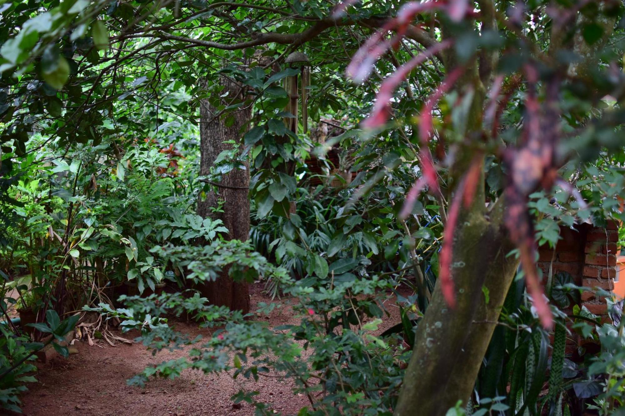 Silent Waters Resorts Yelagiri Exterior photo